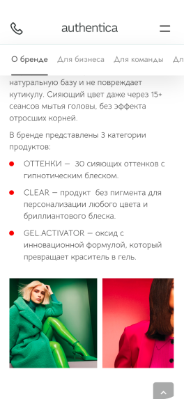 Mobile view 5