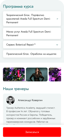 Mobile view 2